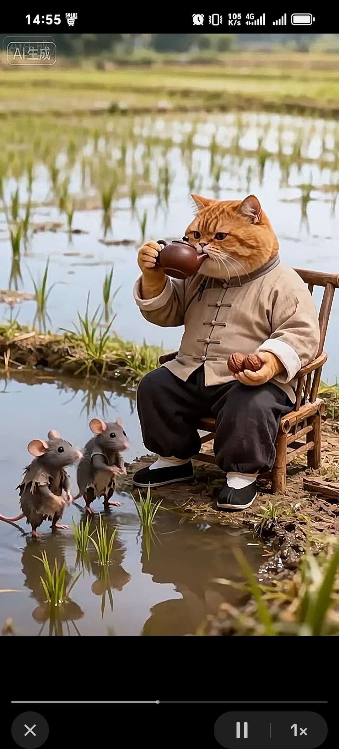 Selected Category Selected Category in Fes, MOROCCO | Azifo